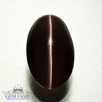 Sillimanite Cat's Eye 3.26ct Natural Gemstone