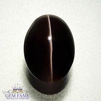 Sillimanite Cat's Eye 3.12ct Natural Gemstone