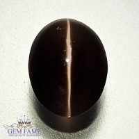 Sillimanite Cat's Eye 3.65ct Natural Gemstone