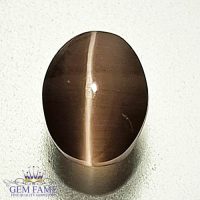 Sillimanite Cat's Eye 2.30ct Natural Gemstone