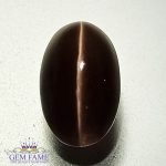 Sillimanite Cat's Eye 3.20ct Natural Gemstone