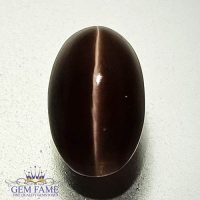 Sillimanite Cat's Eye 3.20ct Natural Gemstone