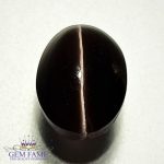 Sillimanite Cat's Eye 3.24ct Natural Gemstone