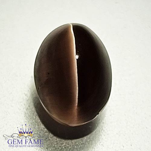 Sillimanite Cat's Eye 2.93ct Natural Gemstone