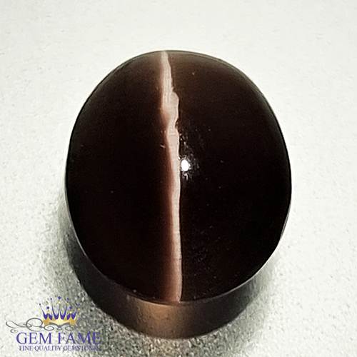 Sillimanite Cat's Eye 2.63ct Natural Gemstone