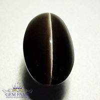 Sillimanite Cat's Eye 3.98ct Natural Gemstone