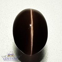 Sillimanite Cat's Eye 2.64ct Natural Gemstone