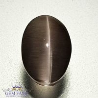 Sillimanite Cat's Eye 2.76ct Natural Gemstone