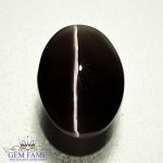 Sillimanite Cat's Eye 2.72ct Natural Gemstone