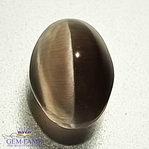 Sillimanite Cat's Eye 2.58ct Natural Gemstone