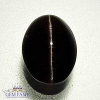 Sillimanite Cat's Eye 2.60ct Natural Gemstone