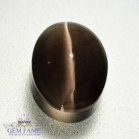 Sillimanite Cat's Eye 2.59ct Natural Gemstone