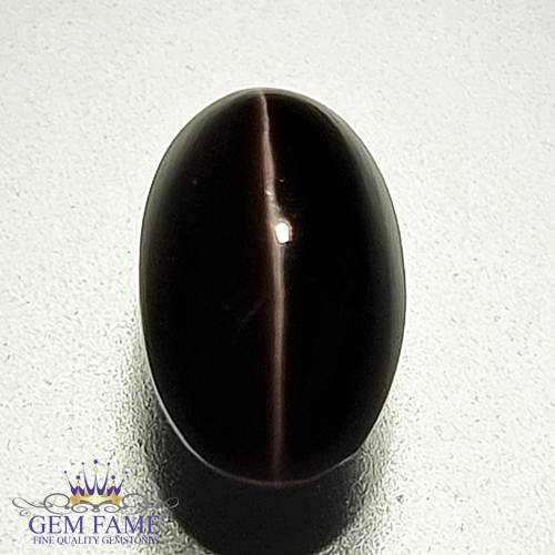 Sillimanite Cat's Eye 3.62ct Natural Gemstone