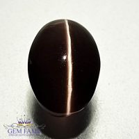 Sillimanite Cat's Eye 3.33ct Natural Gemstone