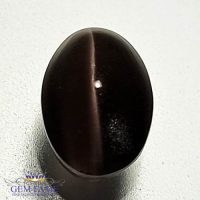 Sillimanite Cat's Eye 2.83ct Natural Gemstone