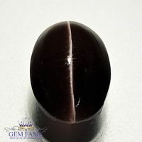 Sillimanite Cat's Eye 3.03ct Natural Gemstone