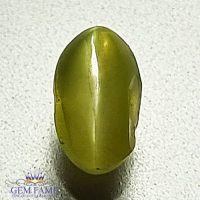 Chrysoberyl Cat's Eye 1.20ct Natural Gemstone