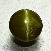 Chrysoberyl Cat's Eye 0.62ct Natural Gemstone