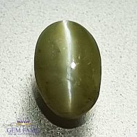 Chrysoberyl Cat's Eye 0.86ct Natural Gemstone