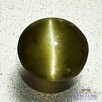 Chrysoberyl Cat's Eye 0.60ct Natural Gemstone