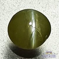 Chrysoberyl Cat's Eye 0.64ct Natural Gemstone