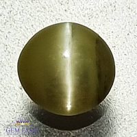 Chrysoberyl Cat's Eye 0.63ct Natural Gemstone