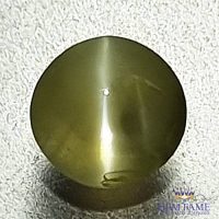 Chrysoberyl Cat's Eye 0.66ct Natural Gemstone