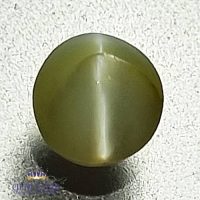 Chrysoberyl Cat's Eye 0.69ct Natural Gemstone