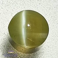 Chrysoberyl Cat's Eye 0.45ct Natural Gemstone