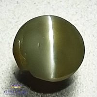 Chrysoberyl Cat's Eye 0.85ct Natural Gemstone