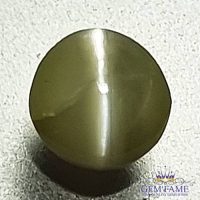 Chrysoberyl Cat's Eye 0.76ct Natural Gemstone