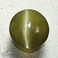 Chrysoberyl Cat's Eye 0.37ct Natural Gemstone