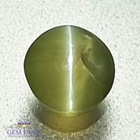 Chrysoberyl Cat's Eye 0.66ct Natural Gemstone