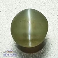 Chrysoberyl Cat's Eye 0.75ct Natural Gemstone