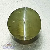 Chrysoberyl Cat's Eye 0.56ct Natural Gemstone