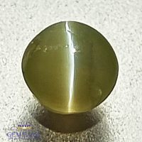 Chrysoberyl Cat's Eye 0.62ct Natural Gemstone