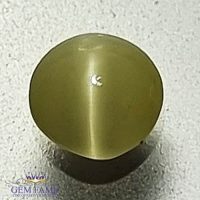 Chrysoberyl Cat's Eye 0.51ct Natural Gemstone