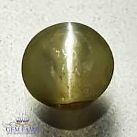 Chrysoberyl Cat's Eye 0.60ct Natural Gemstone