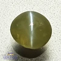 Chrysoberyl Cat's Eye 0.58ct Natural Gemstone