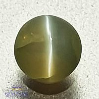 Chrysoberyl Cat's Eye 0.61ct Natural Gemstone