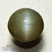 Chrysoberyl Cat's Eye 1.06ct Natural Gemstone