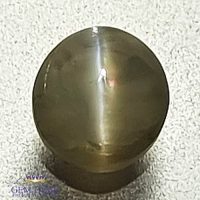 Chrysoberyl Cat's Eye 0.79ct Natural Gemstone