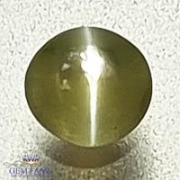 Chrysoberyl Cat's Eye 0.42ct Natural Gemstone
