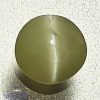 Chrysoberyl Cat's Eye 0.70ct Natural Gemstone