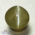 Chrysoberyl Cat's Eye 0.59ct Natural Gemstone India