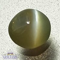 Chrysoberyl Cat's Eye 0.60ct Natural Gemstone