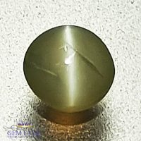 Chrysoberyl Cat's Eye 0.45ct Natural Gemstone