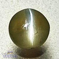 Chrysoberyl Cat's Eye 0.46ct Natural Gemstone