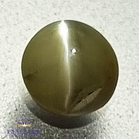 Chrysoberyl Cat's Eye 0.57ct Natural Gemstone