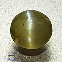 Chrysoberyl Cat's Eye 0.74ct Natural Gemstone